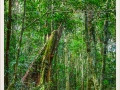 2013_08_31_00102_HDR-Edit
